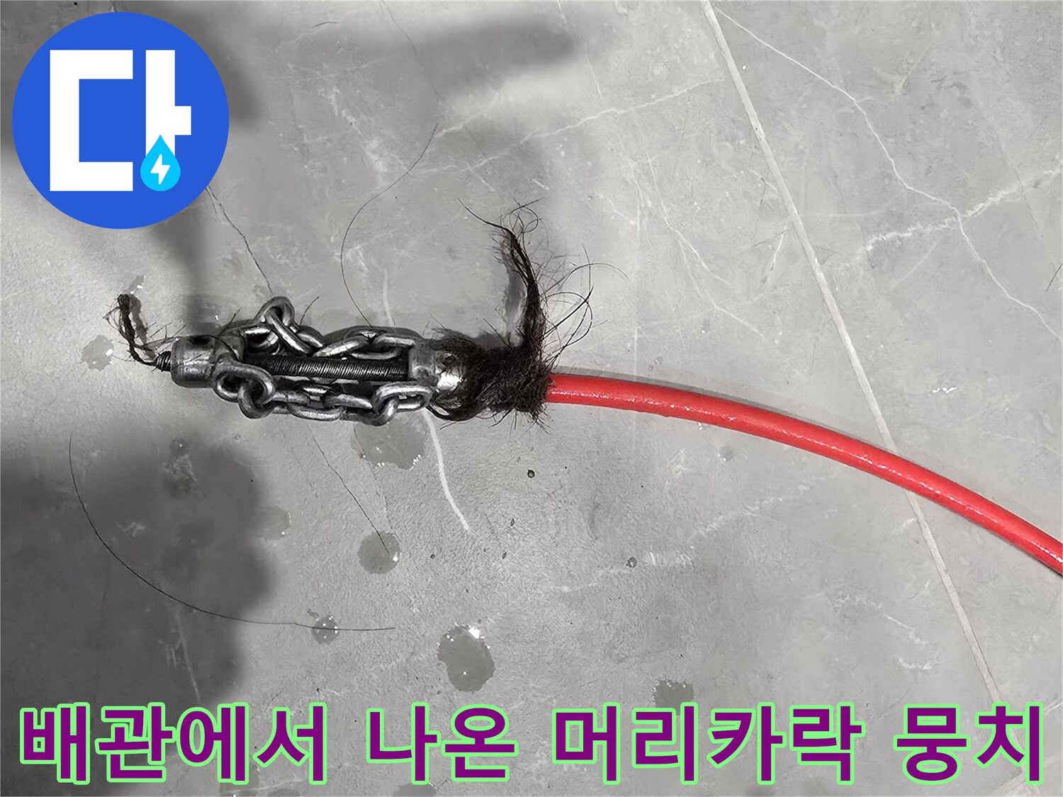 배수관 내부에서 추출된-머리카락과 오물 덩어리