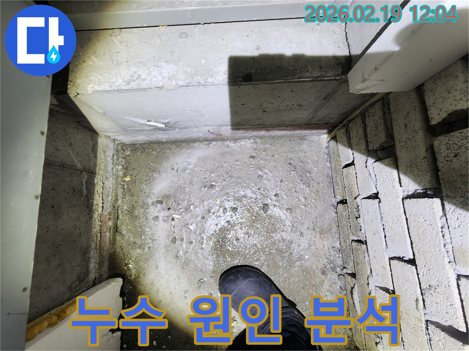 누수 전문가가-동대문구 현장에서-누수 원인을 정확히 파악하기 위해-바닥 상태를 면밀히 분석하고 있습니다.