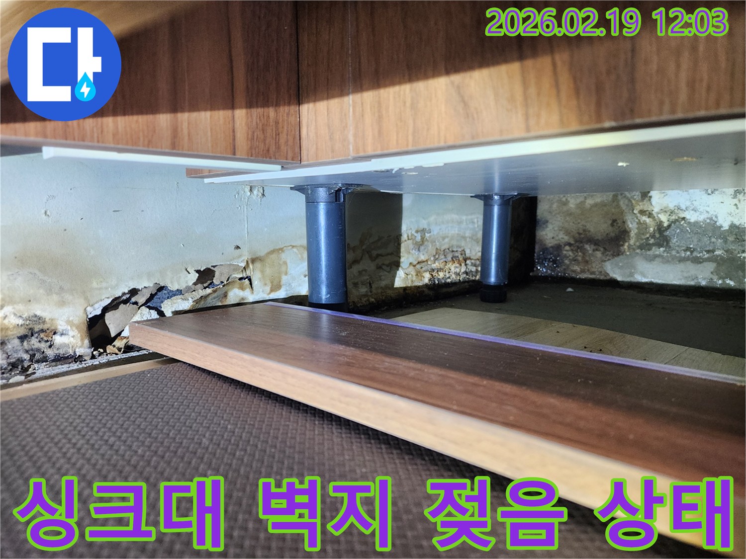 싱크대 하부 벽면의 심각한 누수 흔적-벽지가 젖고 찢겨지며 곰팡이가 번식한 상태