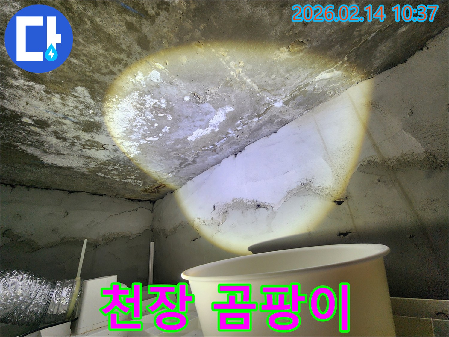 주택-천장-누수-곰팡이-발생-습기-피해-상황