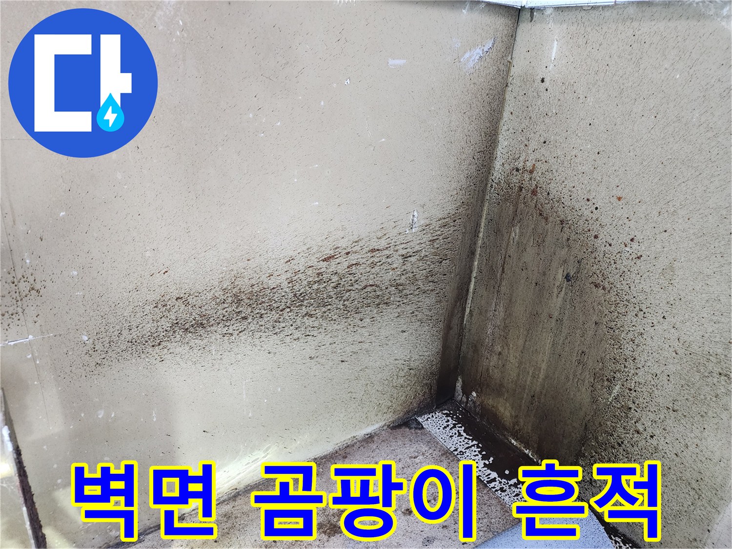 용인 기흥구 현장-벽면을 타고 흐른 누수 자국과 곰팡이 상태