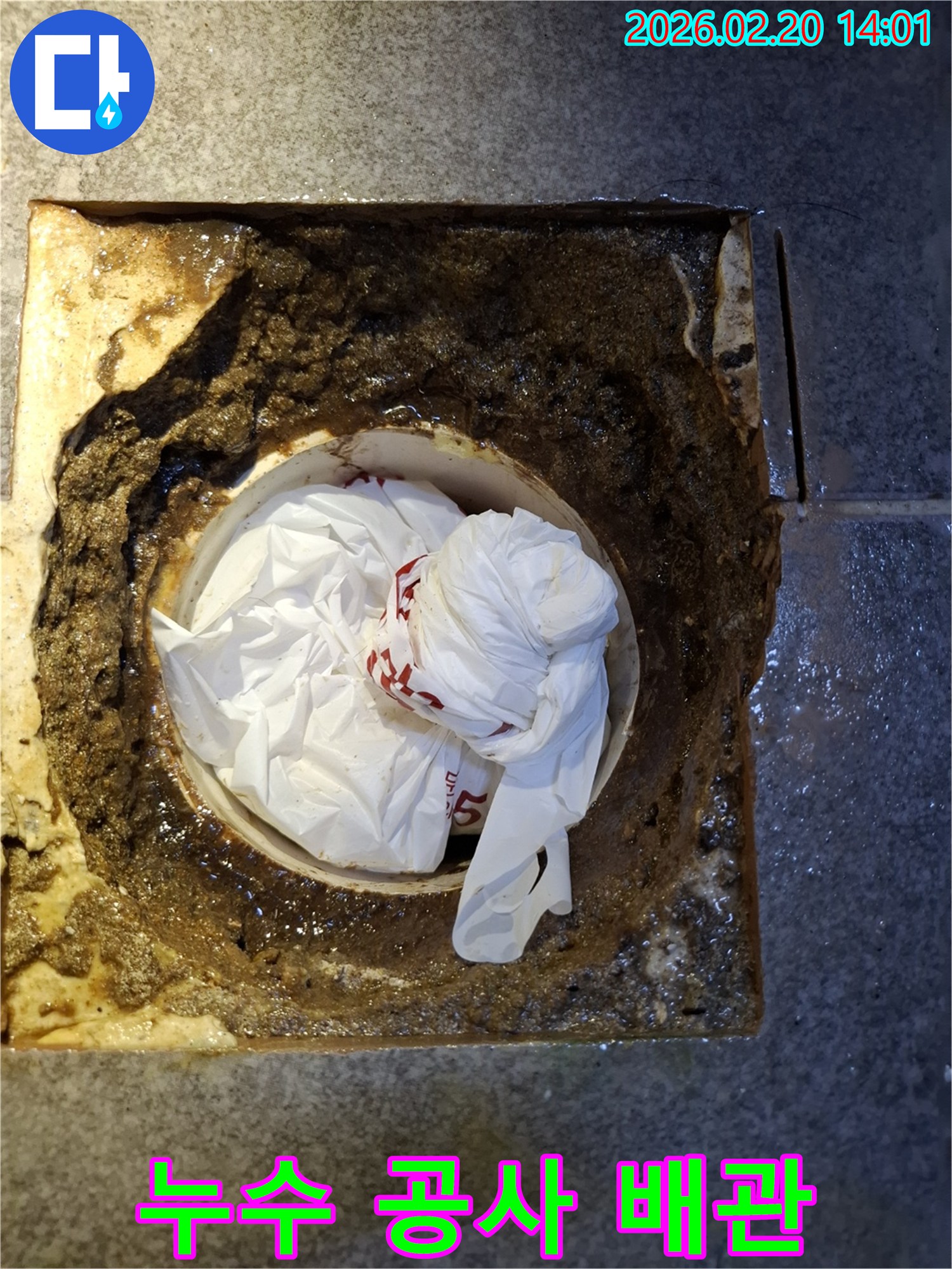 오물과 비닐로 심각하게 막힌 배관-누수 공사를 통해 근본적인 문제를 해결하는 현장
