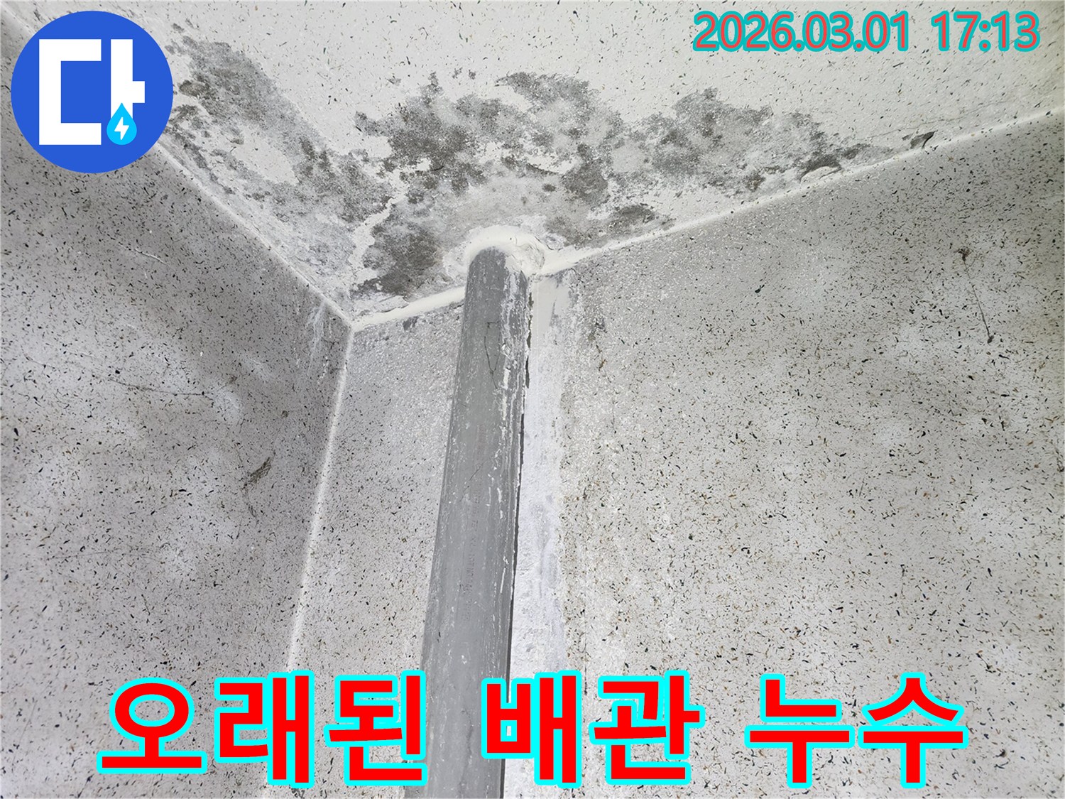 오래된 배관 옆으로-누수로 인한 벽면 손상과 검은 곰팡이