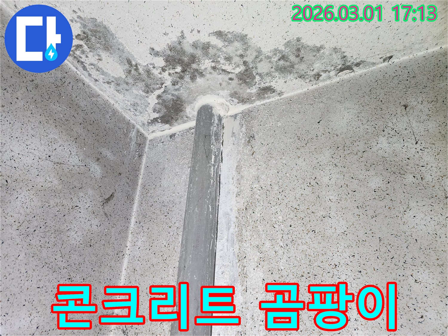 콘크리트 구조물-누수로 인한 곰팡이와 오염 흔적