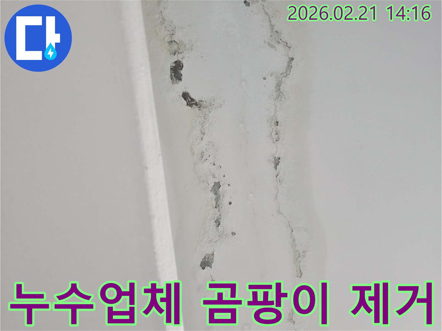 천장-누수로-인해-벽면에-발생한-심각한-곰팡이와-물자국을-보여주는-사진