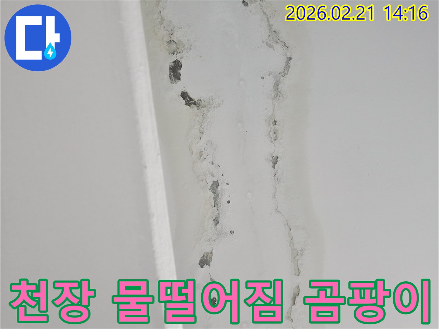 천장-누수로-인해-벽면에-발생한-심각한-곰팡이와-물자국을-보여주는-사진