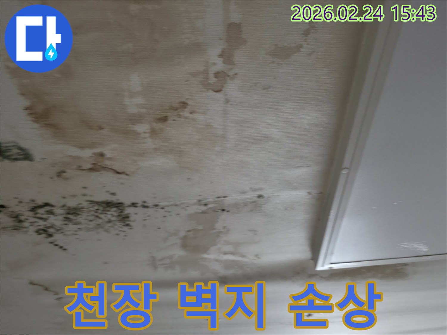 천장 누수로 인해 벽지가 젖고-얼룩과-곰팡이가 발생하여-심하게 손상된-현장 모습