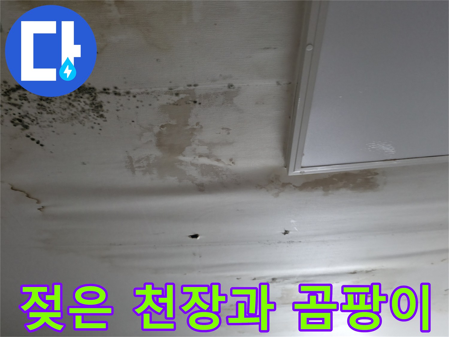 천장 마감재 내부-습기로 인한 곰팡이 및 변색 현상