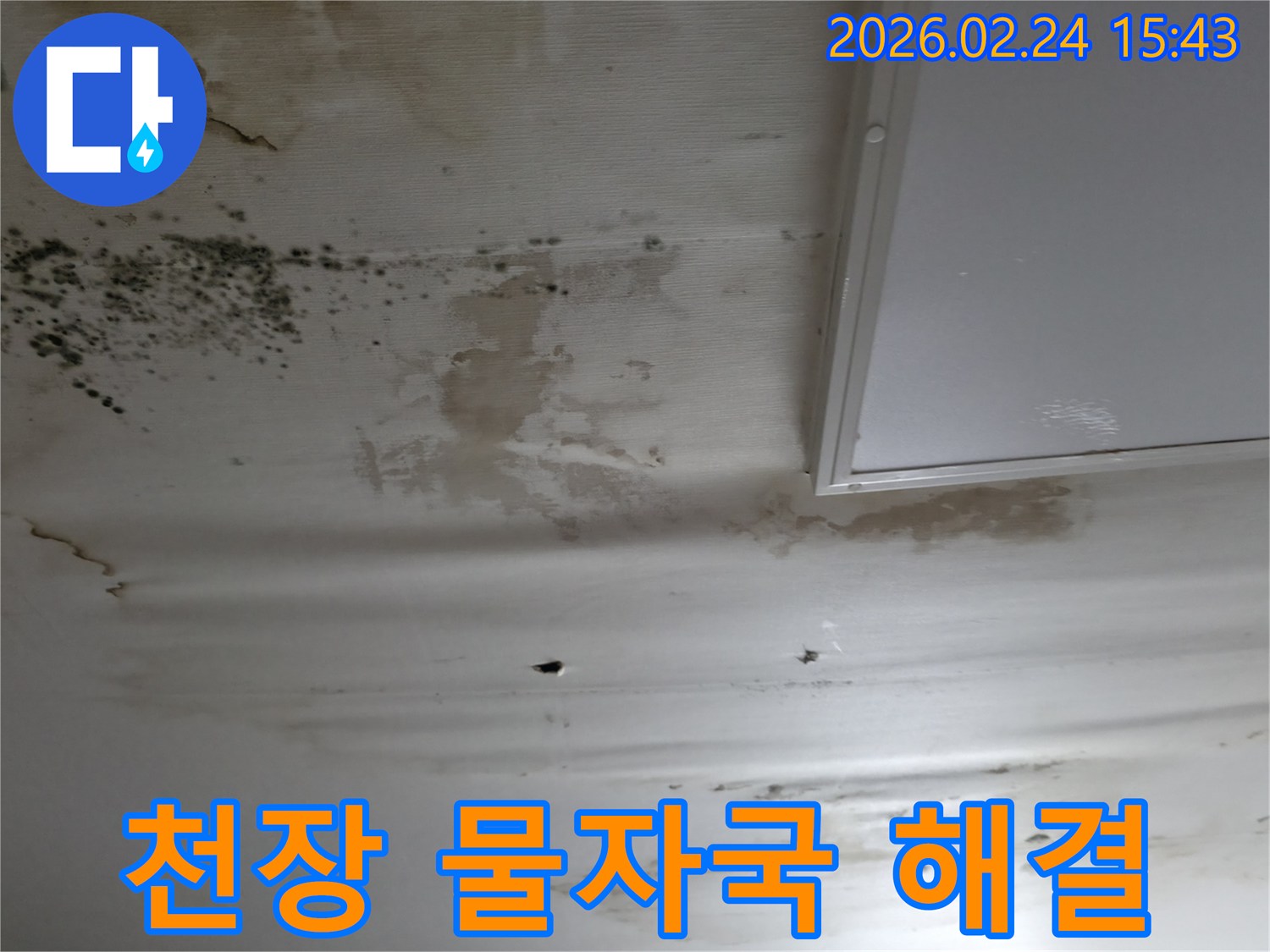천장에-심한-물자국과-곰팡이가-생겨-누수-탐지가-시급한-상황을-보여주는-이미지
