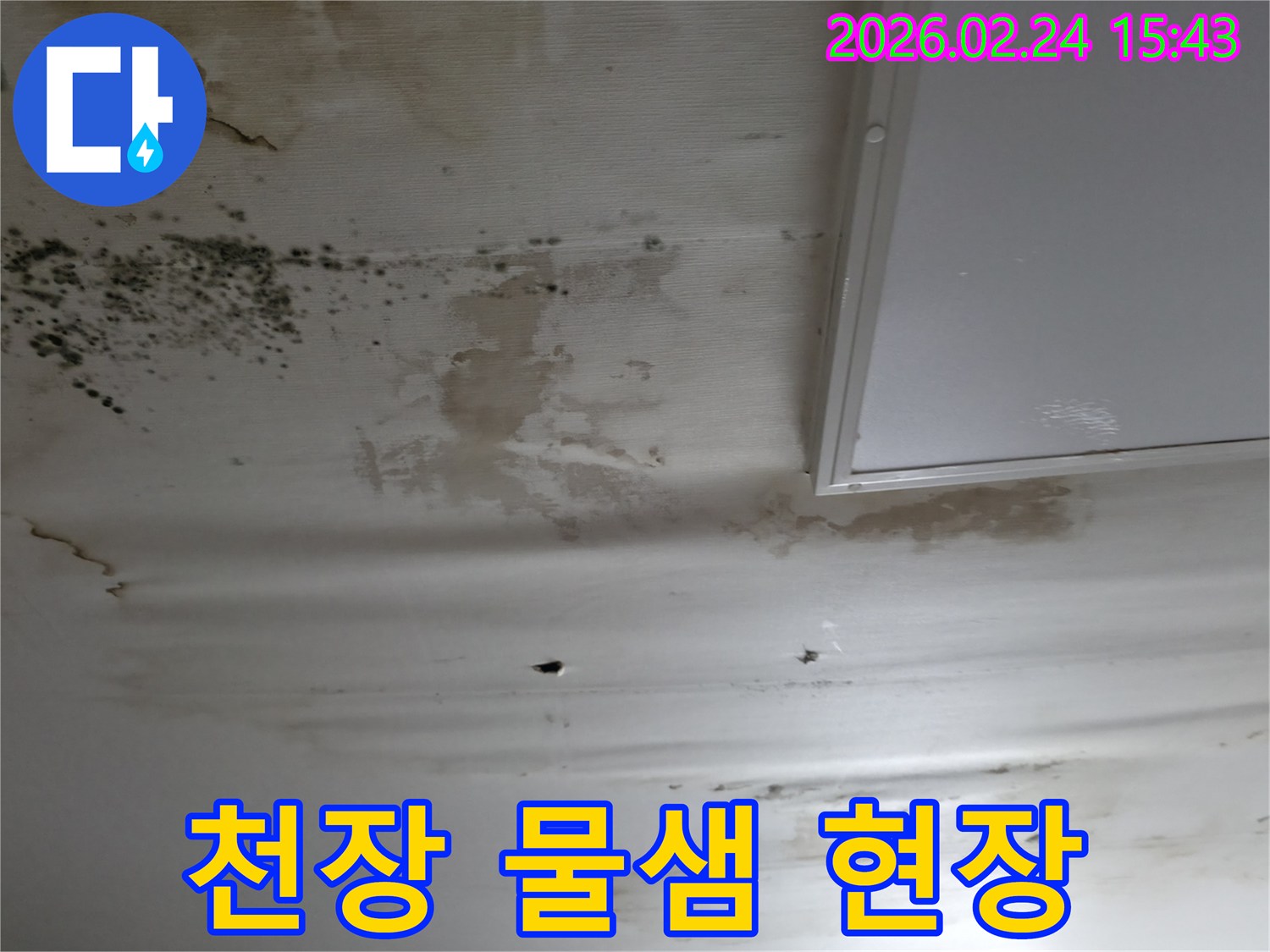 천장에서-물이-새어-얼룩과-곰팡이가-생긴-심각한-누수-피해-상황을-보여주는-사진
