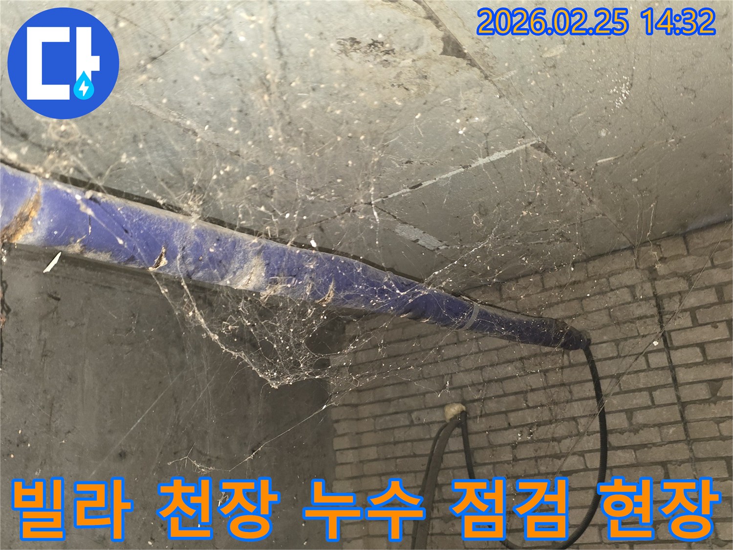 강동구 진황도로 인근 빌라-지하 천장에 거미줄이 엉켜있는-누수 점검 전-현장 준비 모습을 담은 사진입니다.