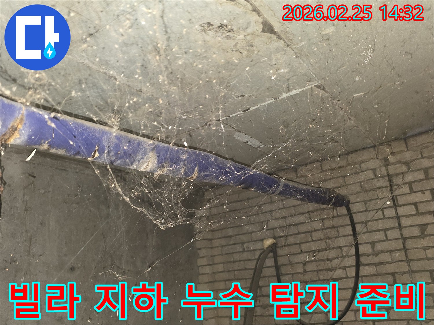 강동구 진황도로 인근 빌라-지하 천장에 거미줄이 엉켜있는-누수 정밀 탐지 전-현장 준비 모습을 담은 사진입니다.