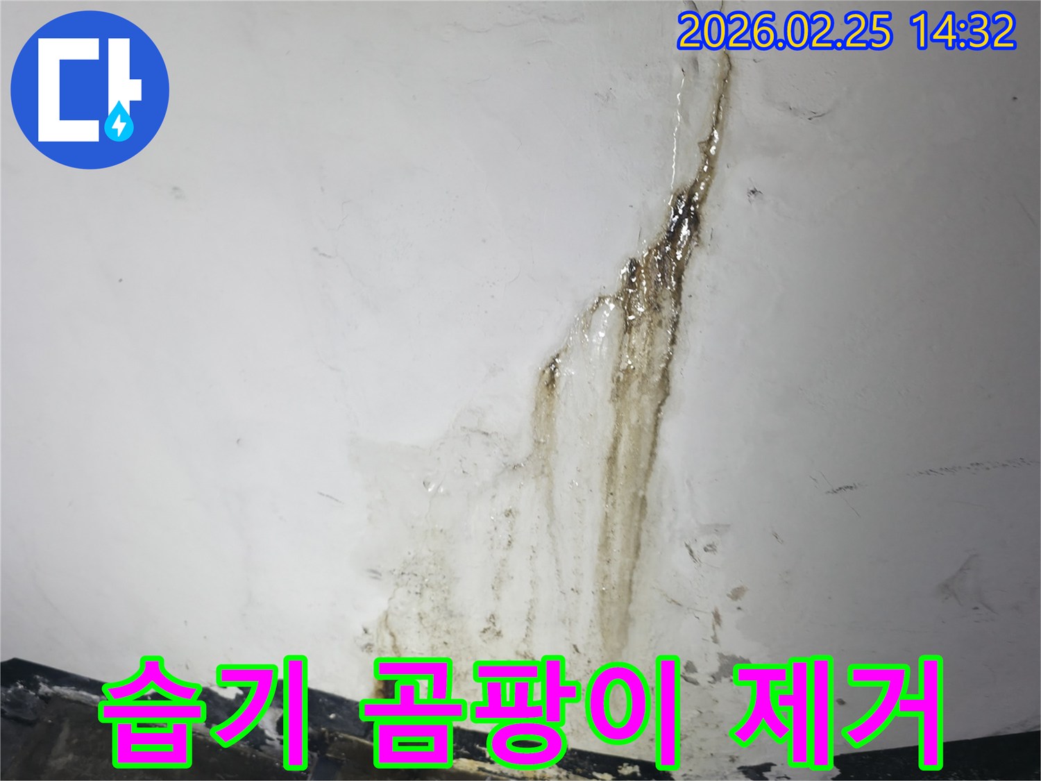 누수로 인해-벽면이 젖고-습기가 가득한-환경에서-곰팡이 발생이-우려되는-현장 사진
