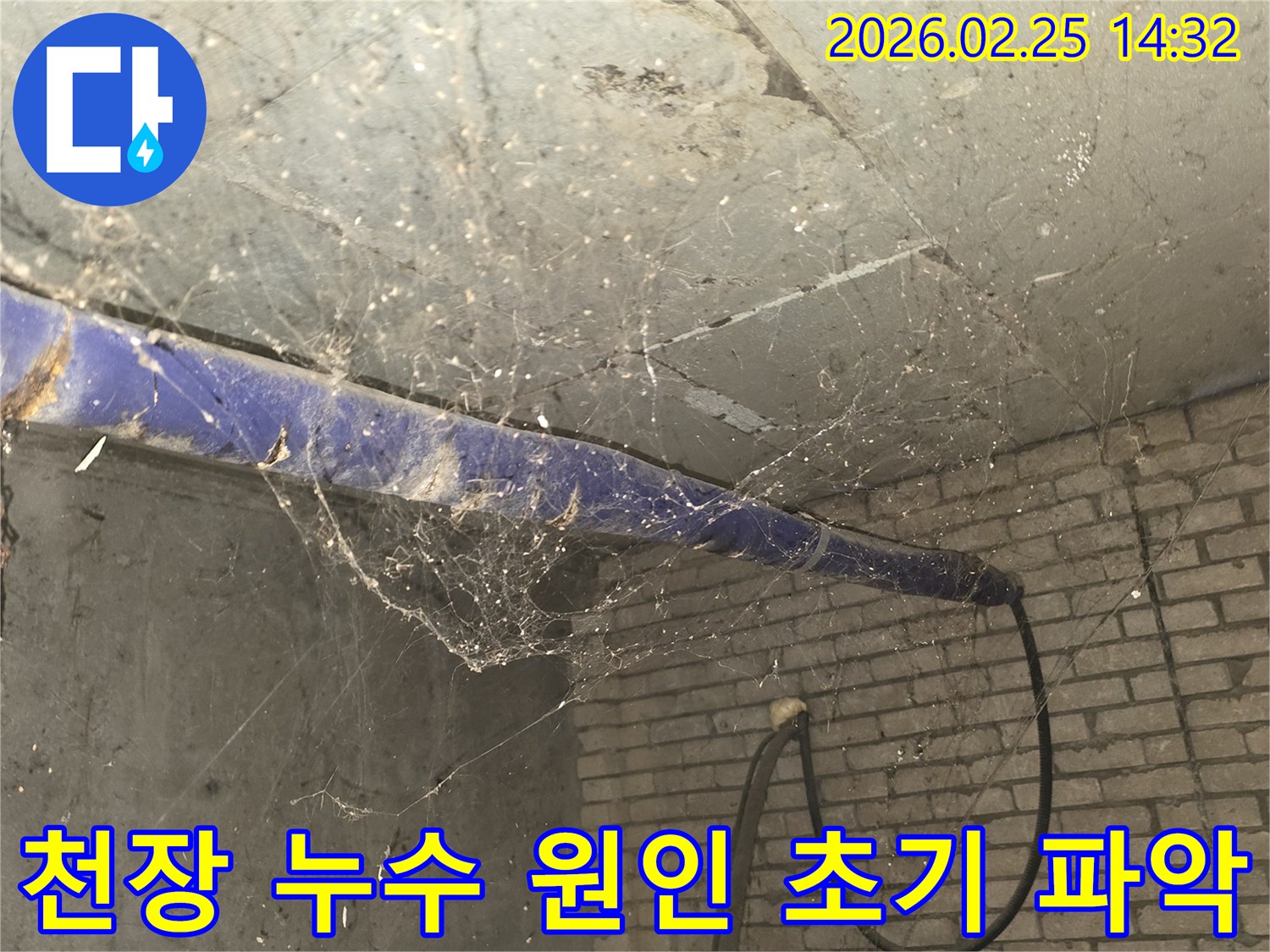 서울 강동구 진황도로 인근-건물 지하 천장에-거미줄과 먼지가 쌓여있는-누수 원인 파악 초기 현장 모습입니다.
