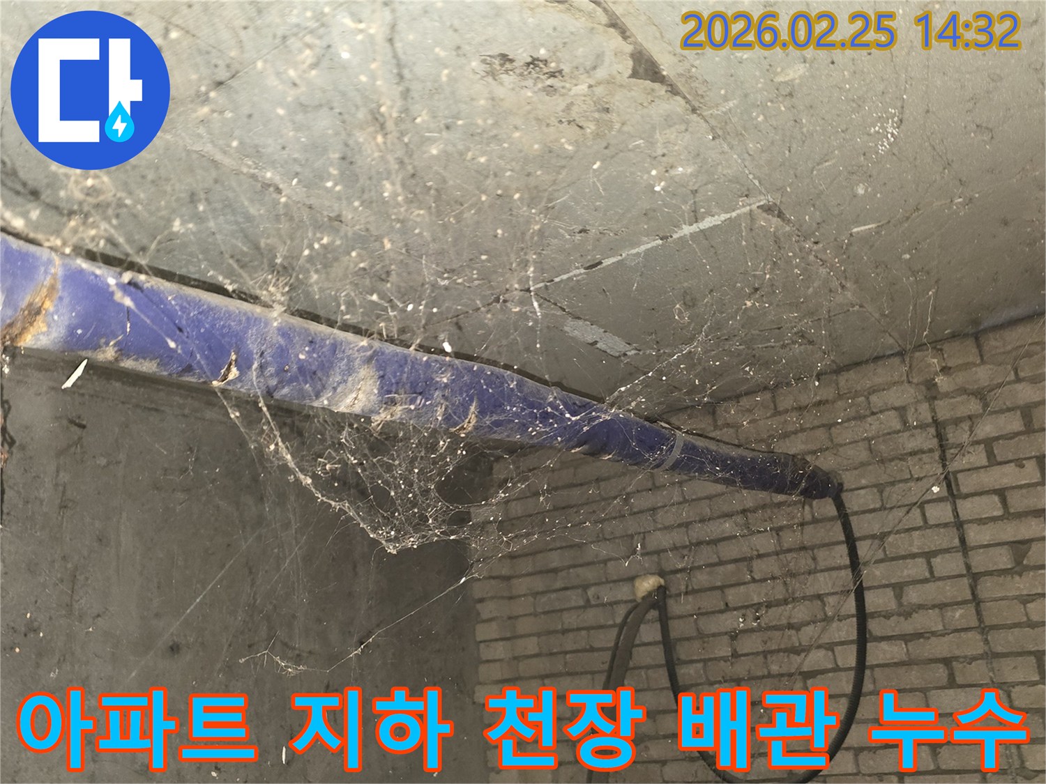 서울 강동구 진황도로 인근 아파트-지하 천장에 거미줄이 가득한-누수 발생 의심 현장의 모습입니다.