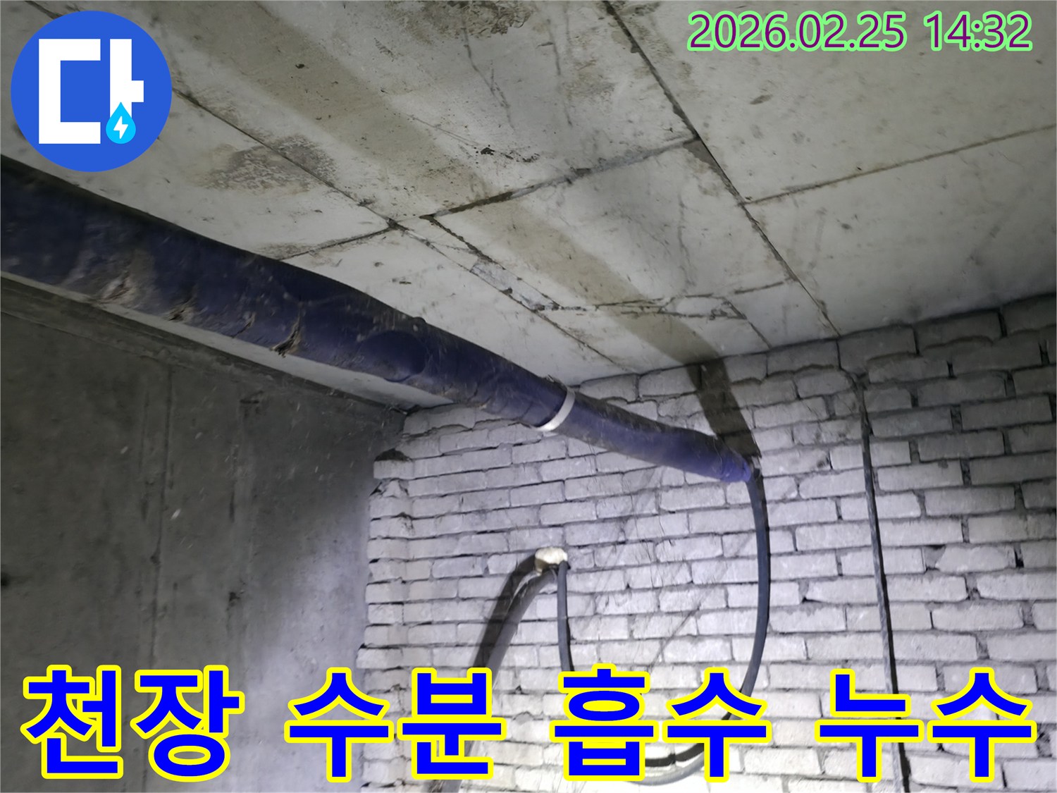 지하 천장 콘크리트가-물을 흡수하여-어둡게 변색된 누수 현상을-전문가가 정밀하게 진단하는 모습