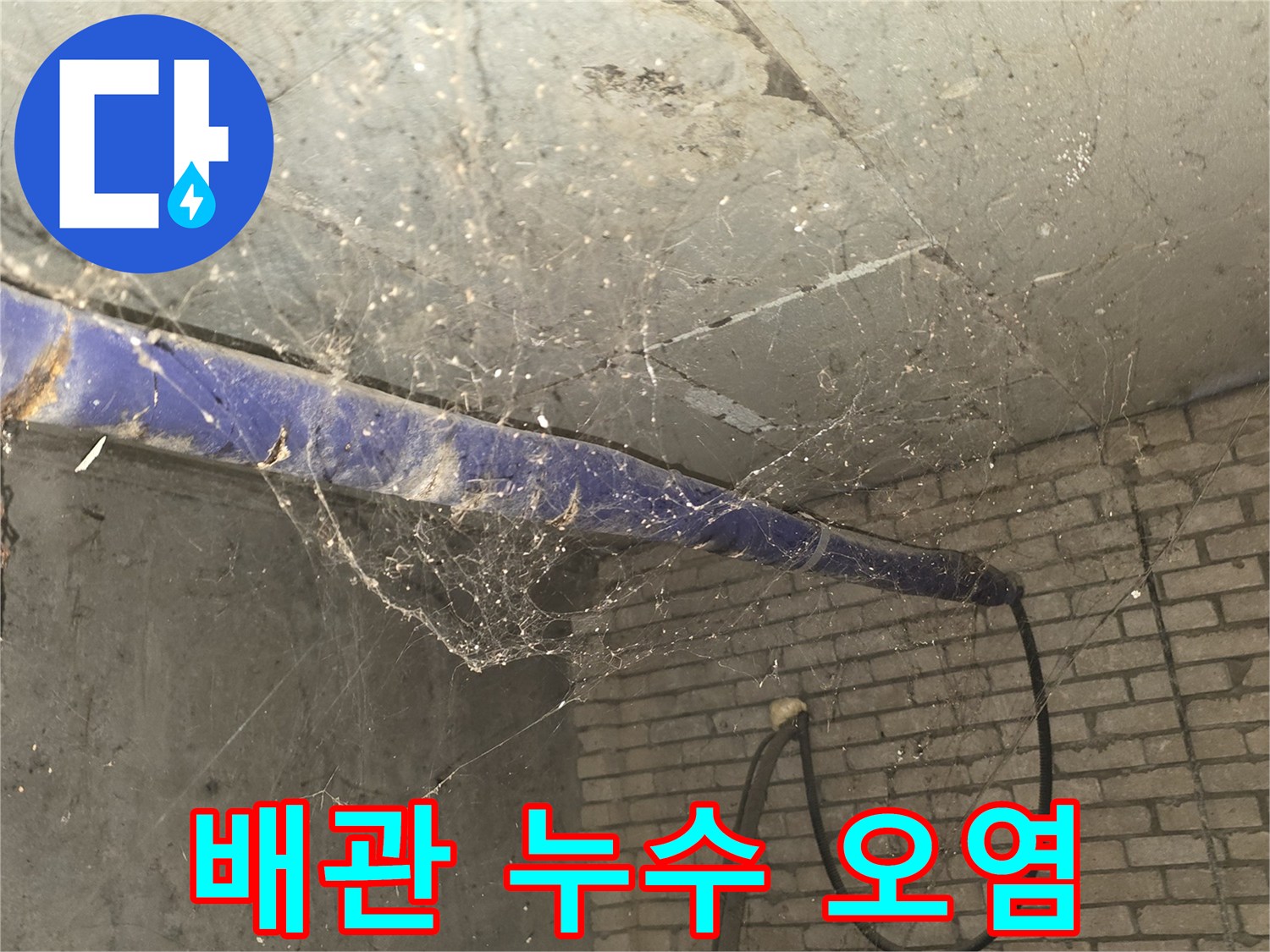 천장 배관 주변의 누런색 누수 흔적과 거미줄