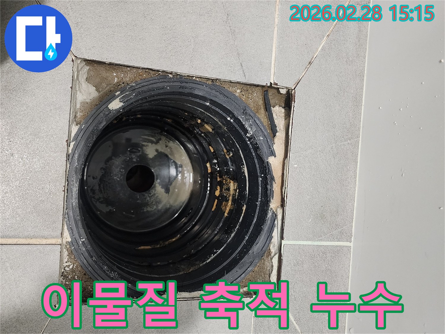 이-사진은-금천구-독산동-주택-누수-현장에서-배수구-주변에-이물질이-축적되어-누수를-유발하는-모습을-보여줍니다