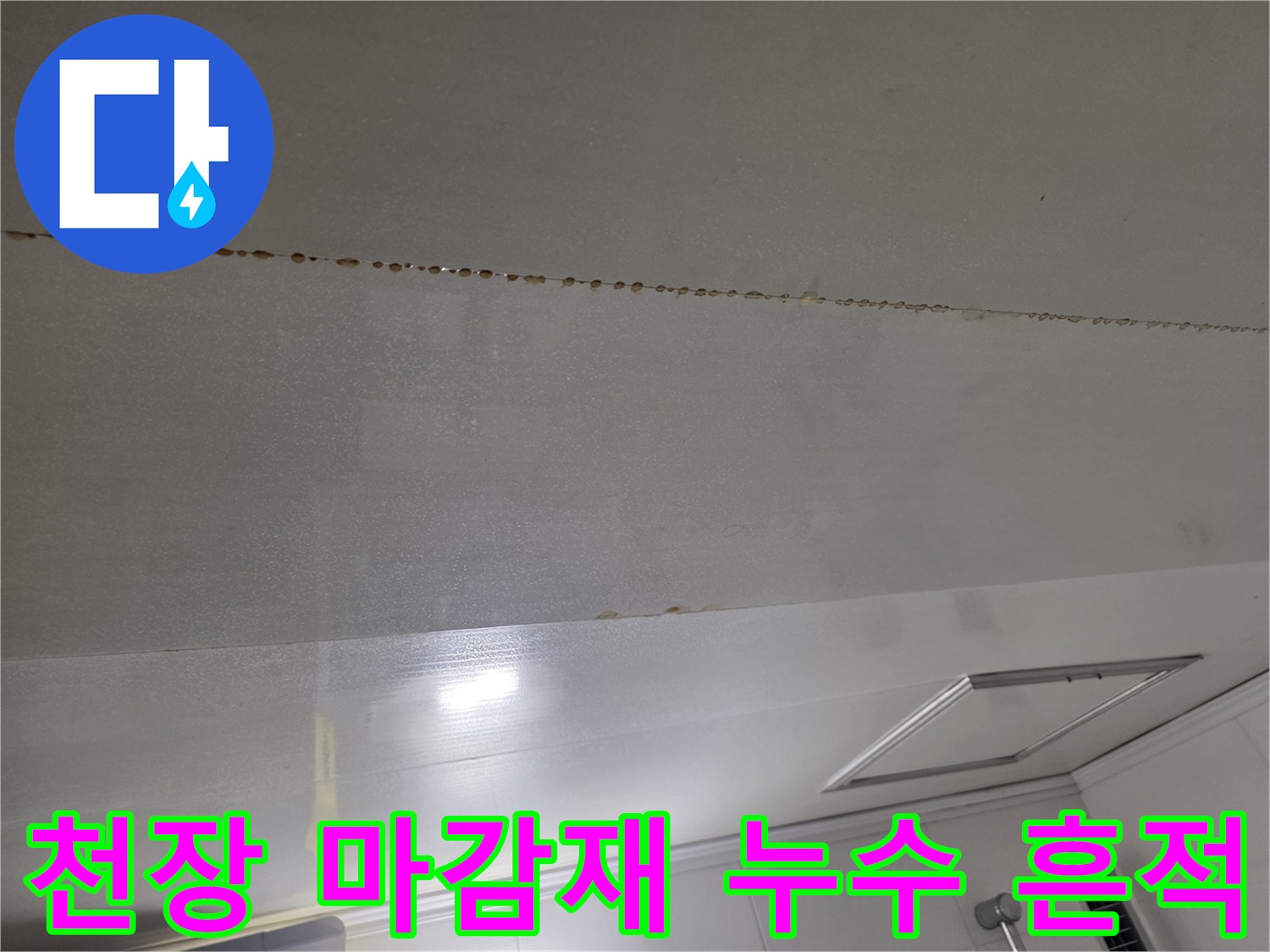 천장 판넬을 따라 길게 이어진 물샘 자국과 변색된 부위