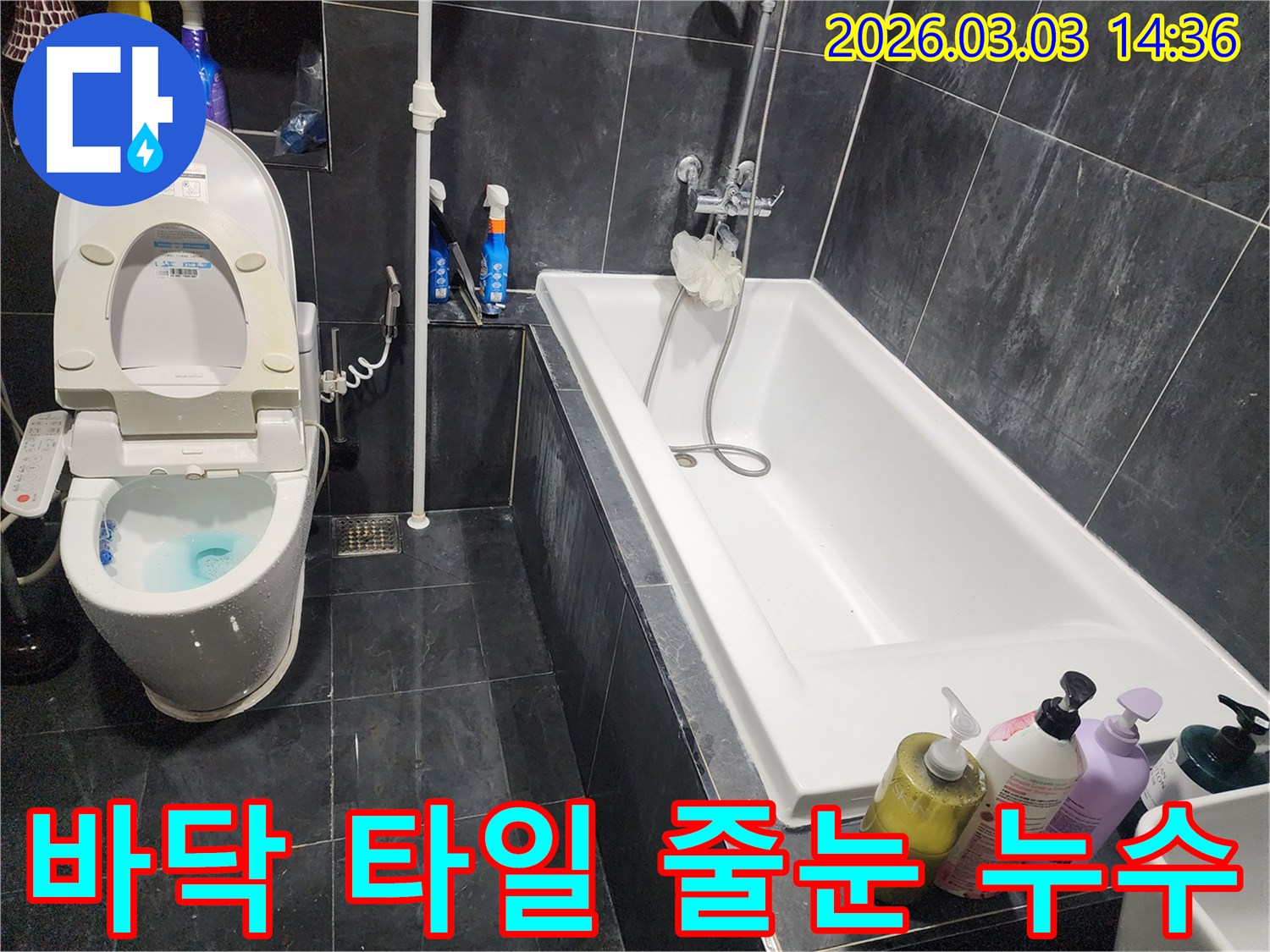 파주 와동동 욕실 바닥 타일 줄눈에서 발생한 누수를-정밀 재시공으로-해결하는 현장입니다