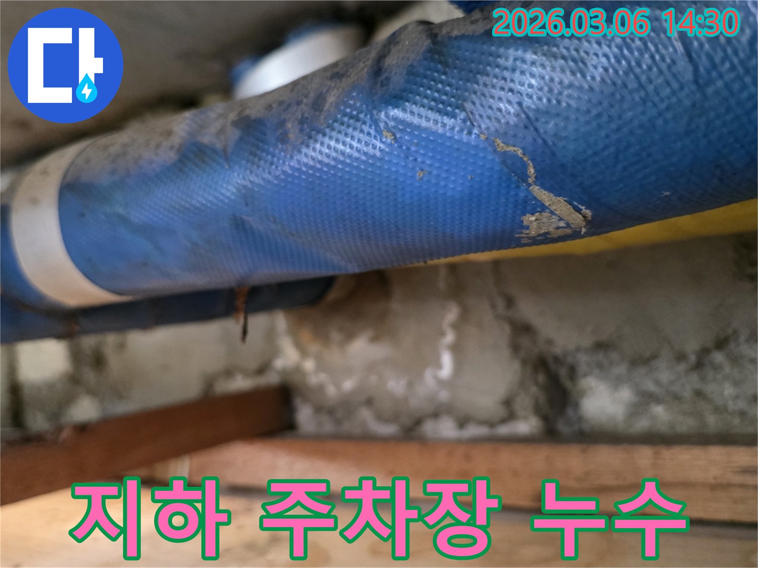 빌라 지하 주차장-파란색 배관과-습기 찬 콘크리트 벽면-그리고 나무 지지대를-꼼꼼히 점검하는 모습