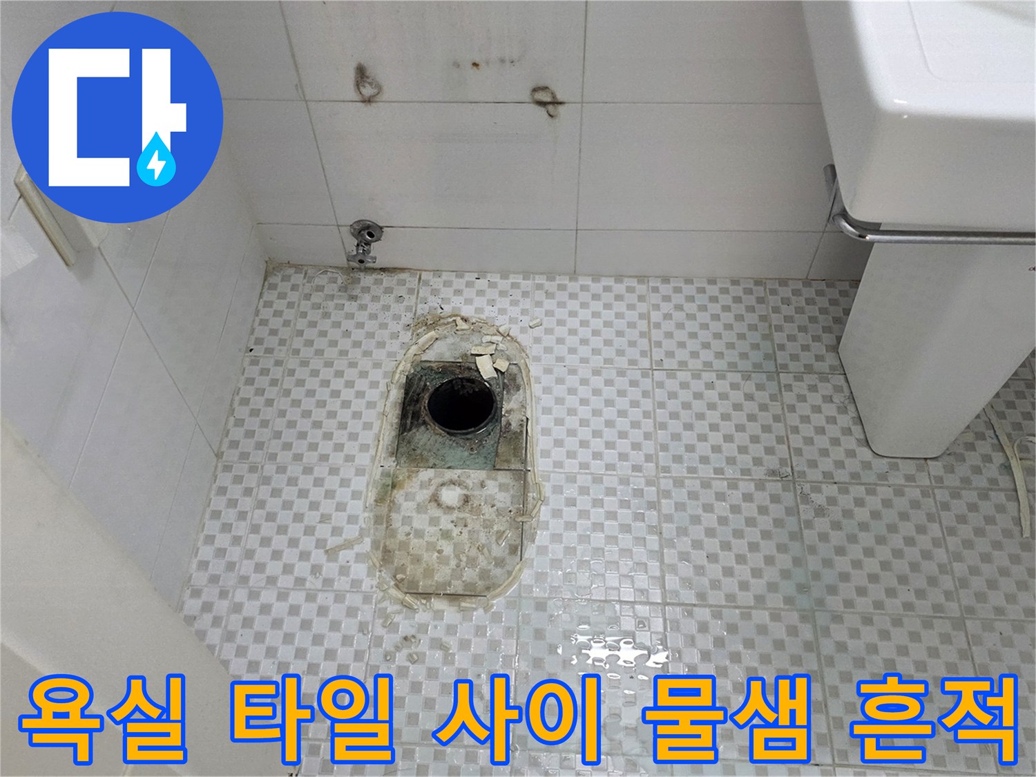 중계동 욕실 바닥 하수구 주변의 젖은 타일과 오염된 모습