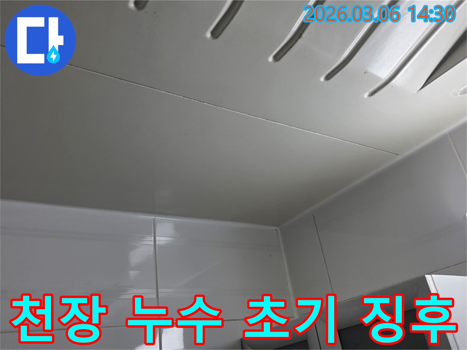 천장-패널에-나타난-미세한-누수-초기-징후를-전문가가-발견하고-있는-모습으로-조기-대응의-중요성을-강조합니다.
