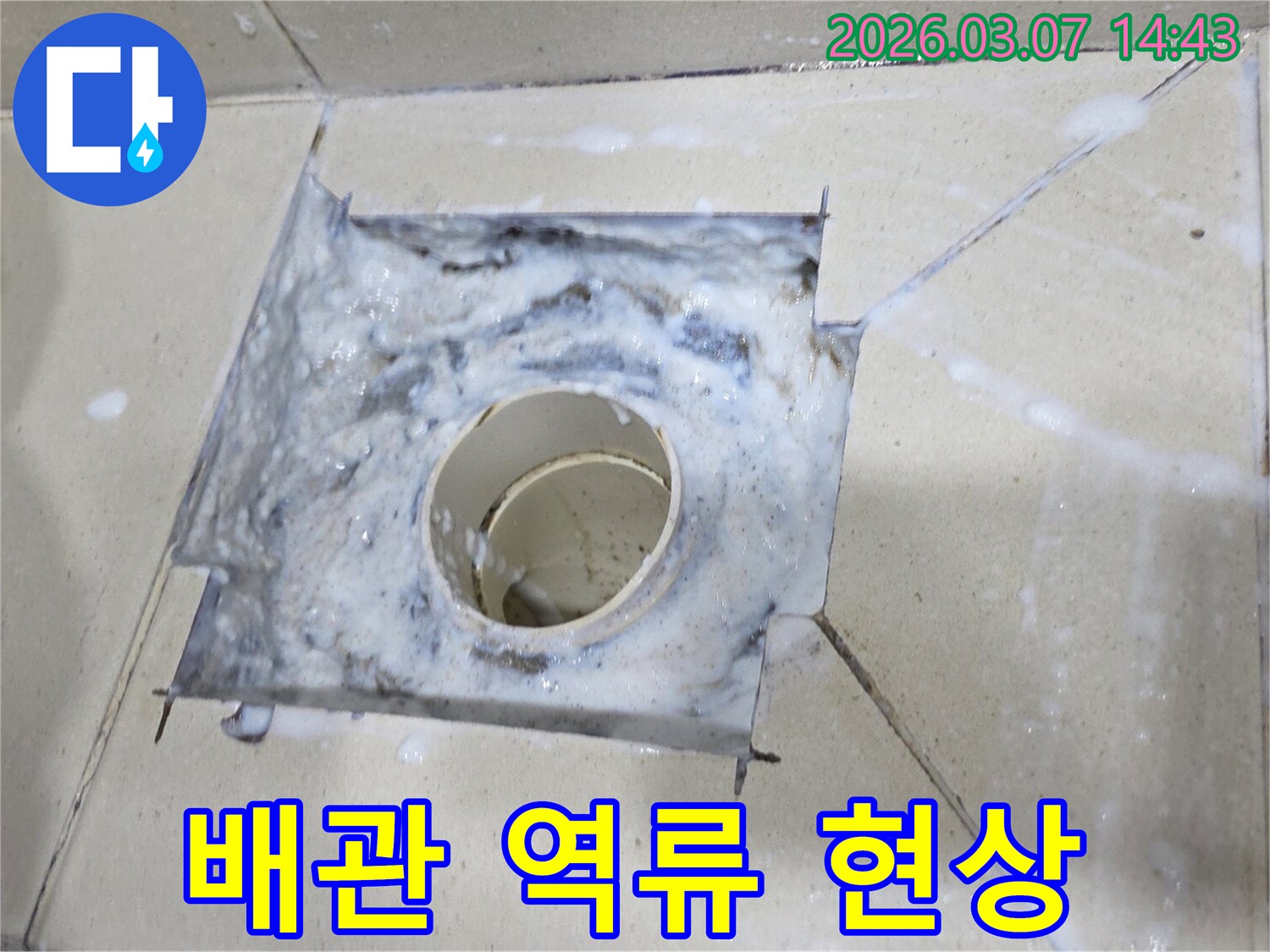 심각한 하수구 막힘으로 인해-물이 제대로 빠지지 않고 고여있는 모습입니다.
