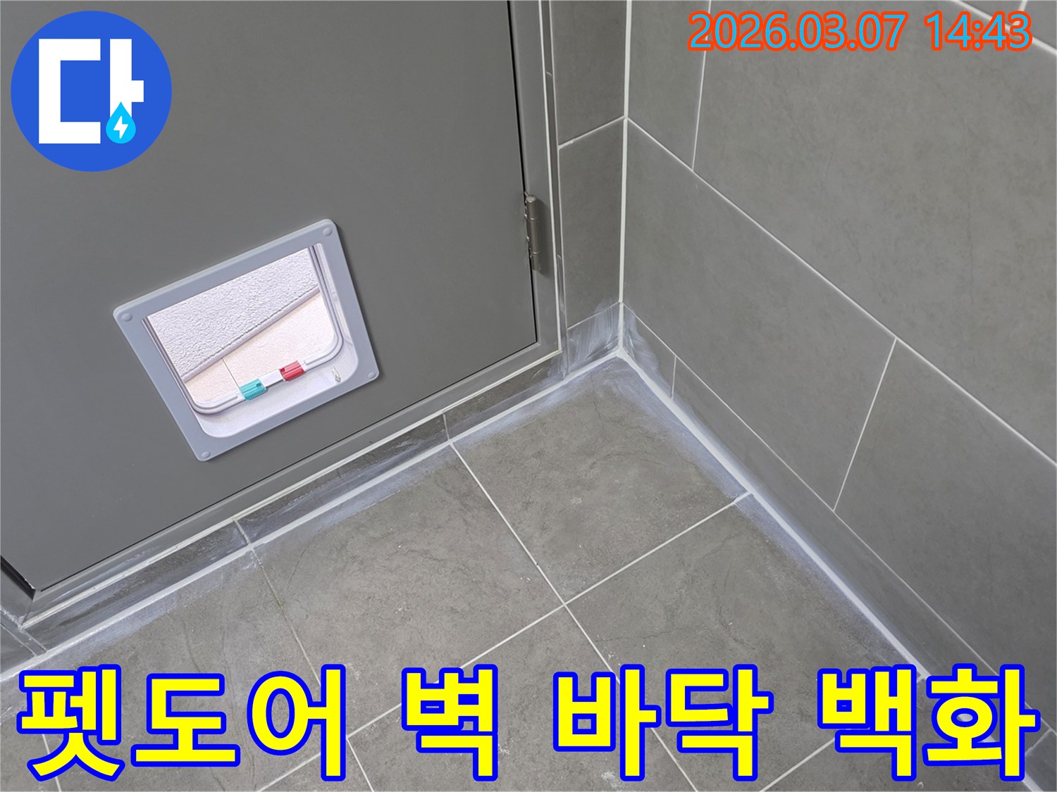 이 사진은 반려동물 문이 있는 회색 문 하단과 인접한 타일 바닥-그리고 벽면 경계에 발생한 백화 현상을 통해-누수 문제를 시각적으로 보여줍니다.