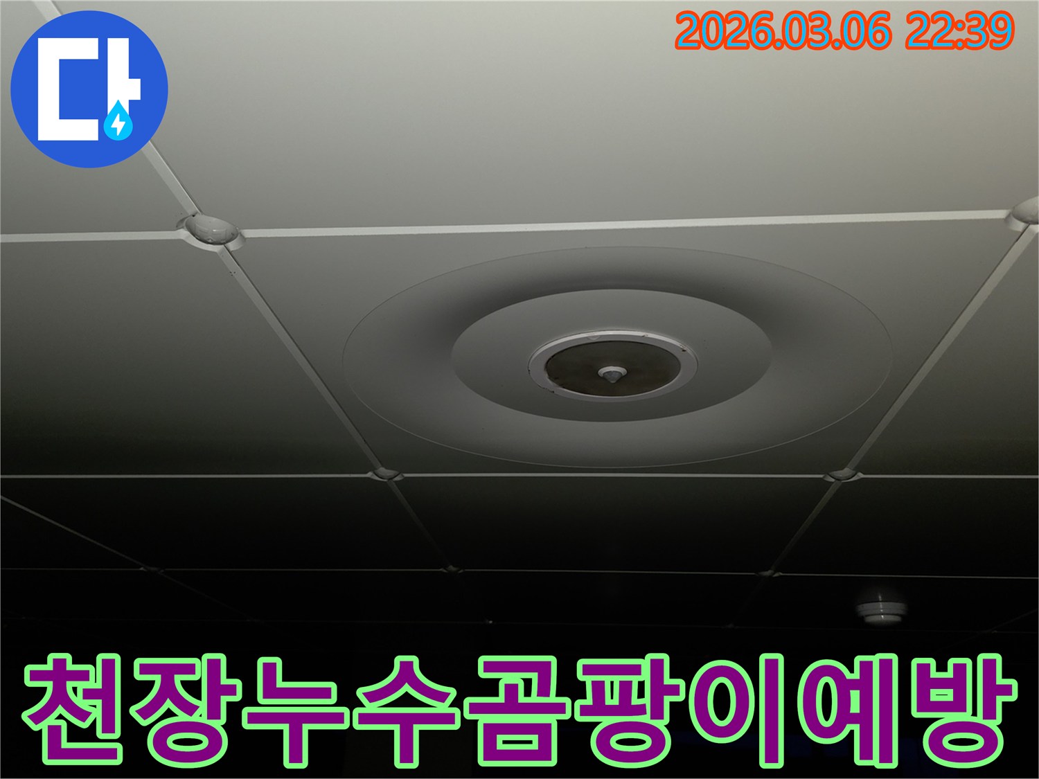 누수 전문가가-천장 마감재의-습기나-변색 여부를-확인하며-곰팡이-발생-전에-누수를-진단하고-예방하는-모습