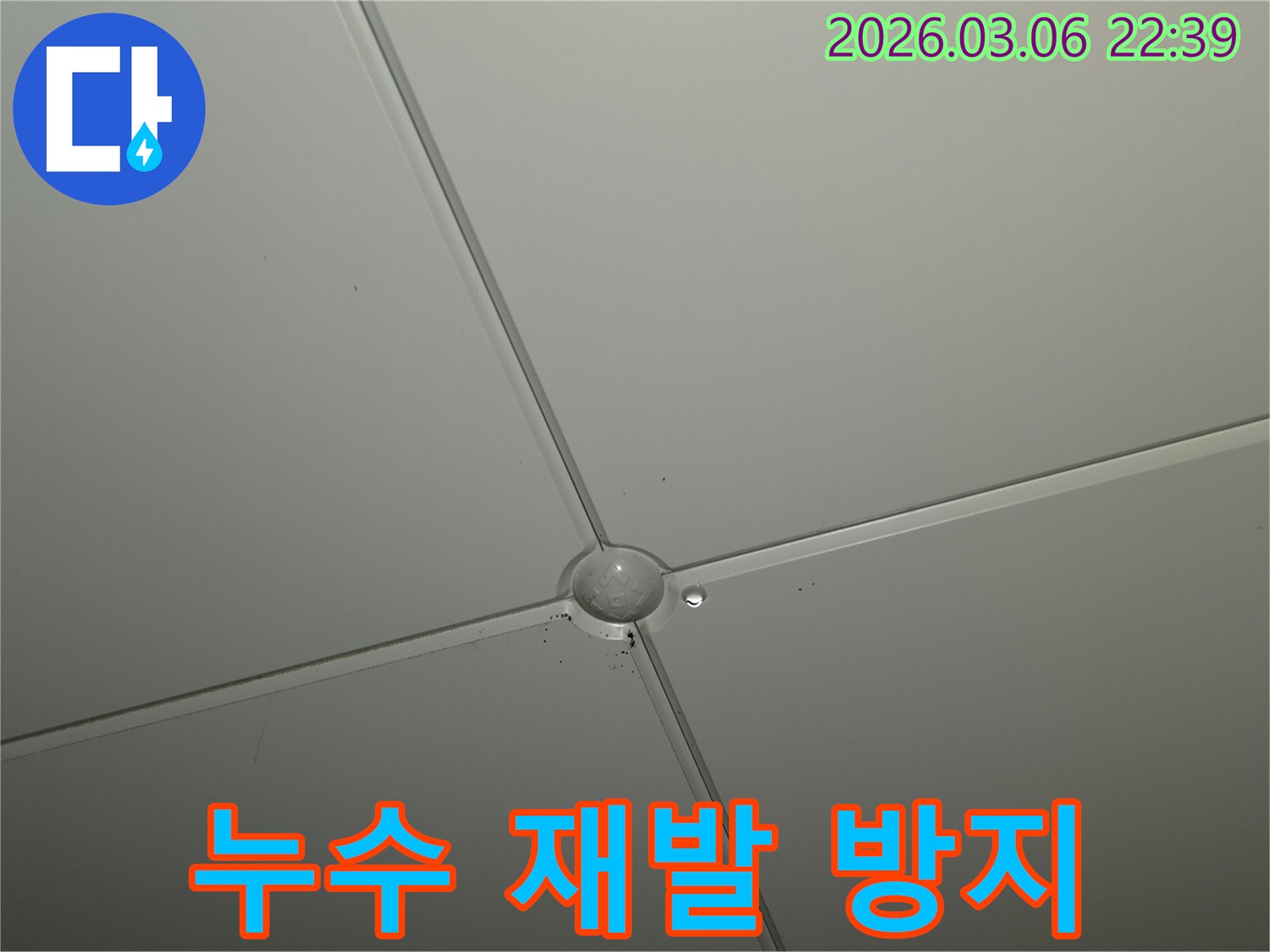 천장 마감재 교차점에서-작은 물방울이 맺혀있는-누수 초기 증상 현장
