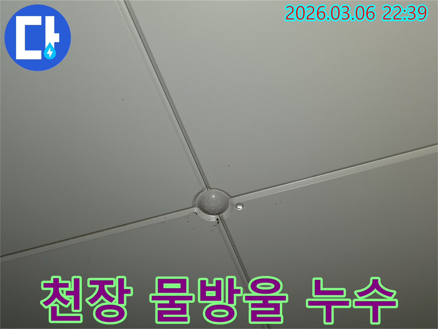 천장 마감재 연결 부위에서-물방울이 맺혀-떨어지려는 모습의-누수 현장