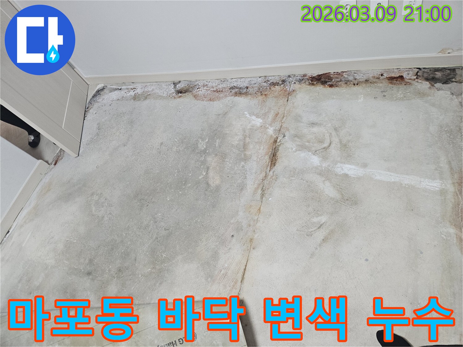 마포구-마포동-빌라-바닥-콘크리트에-습기-침투로-인해-발생한-변색-현상을-엔지니어가-확인하는-사진