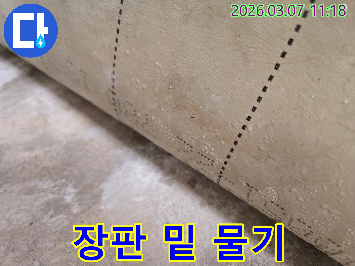 아파트 누수 현장-장판을 걷어내자-물기가 선명하게 보입니다
