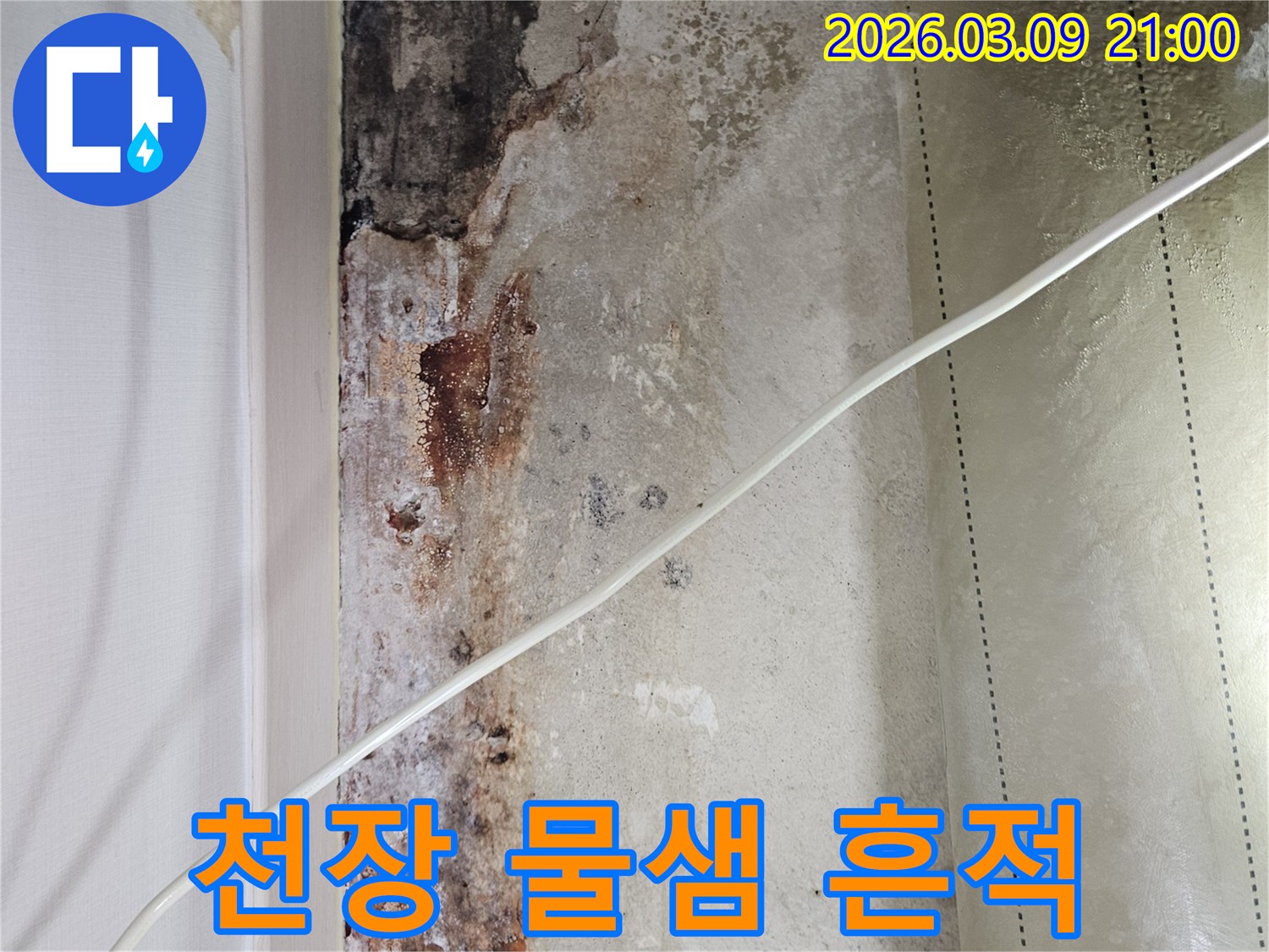 천장-마감재에-나타난-누수로-인한-물자국과-변색-현상