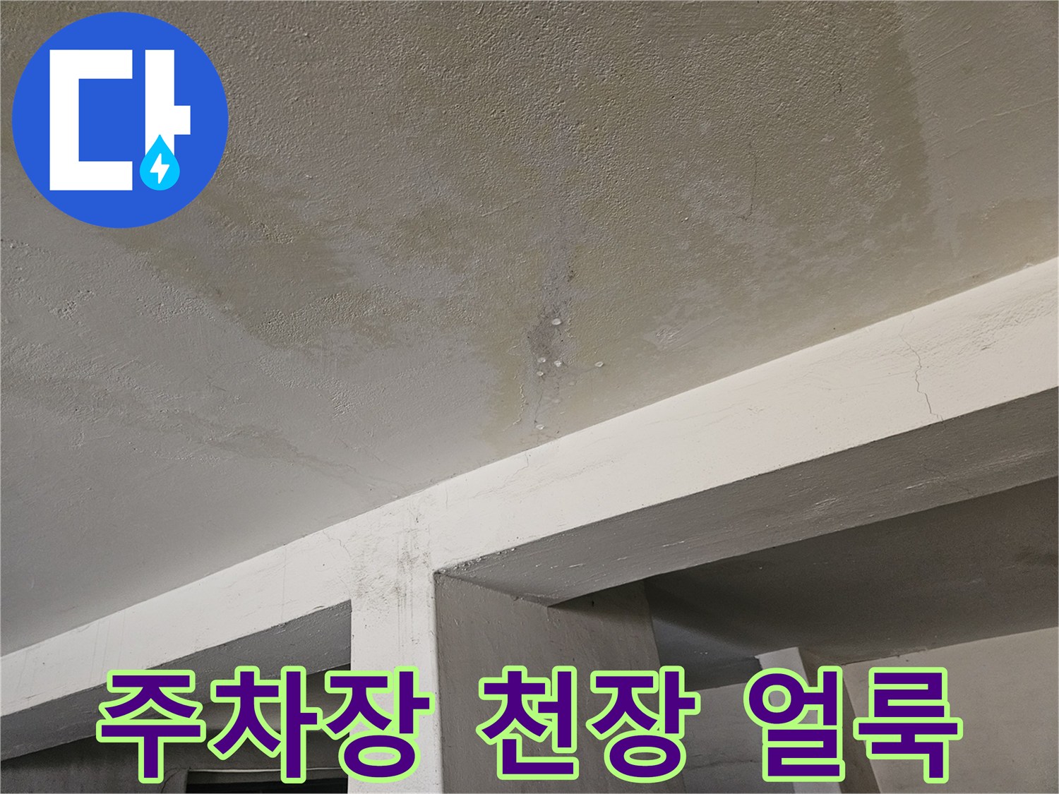 도봉구 빌라 주차장 천장의 누수 흔적과 습기 상태