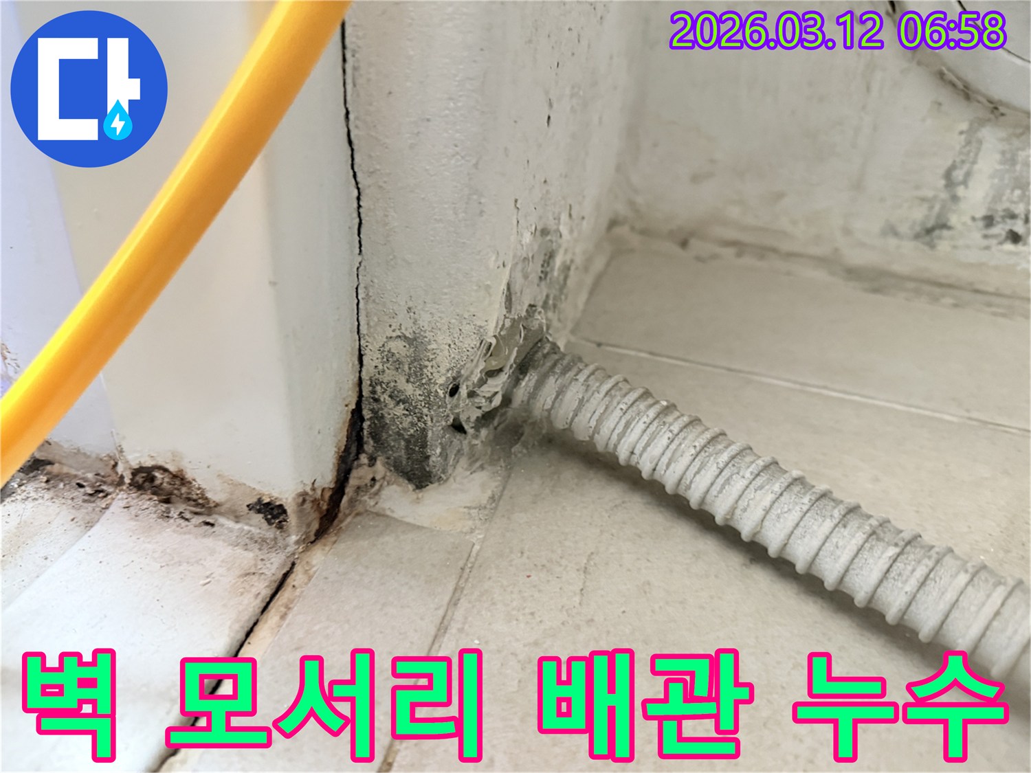 마포구-합정동-빌라-벽-모서리-배관-주변의-누수-흔적과-곰팡이-발생-현장