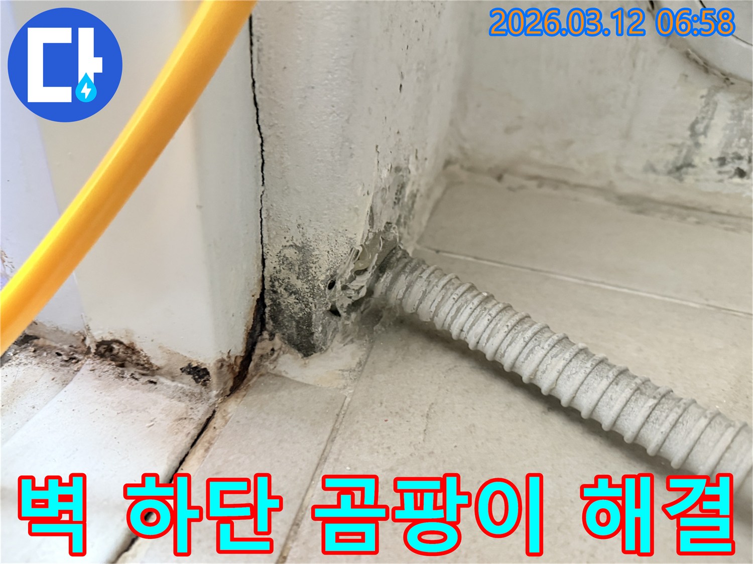 마포구-현석동-다세대-주택-벽-하단부의-심각한-누수-흔적과-곰팡이-상태-사진