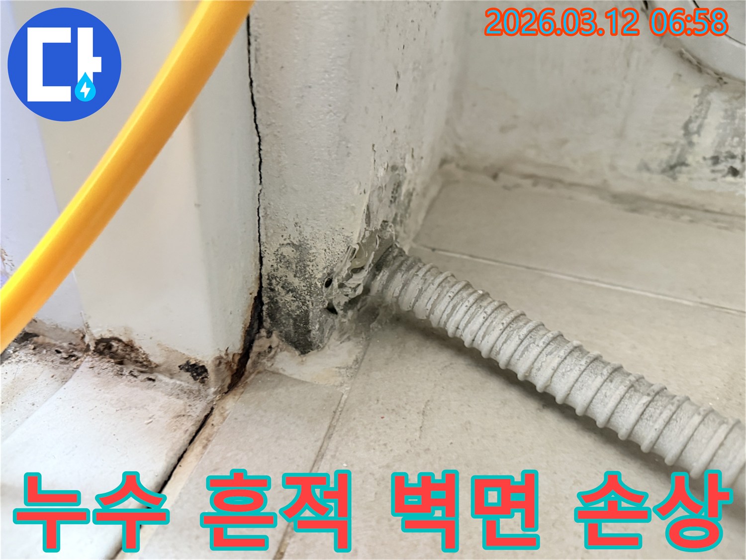 물샘-현상으로-인해-벽지가-손상되고-곰팡이가-번진-마포구-주택-내부