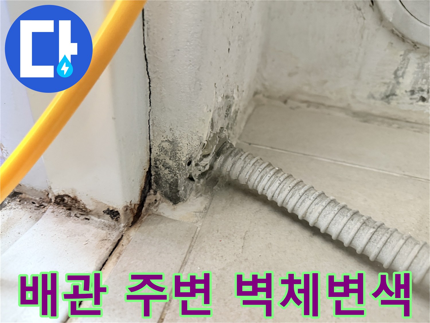 보일차실-벽면-하단부의-누수-및-곰팡이-상태