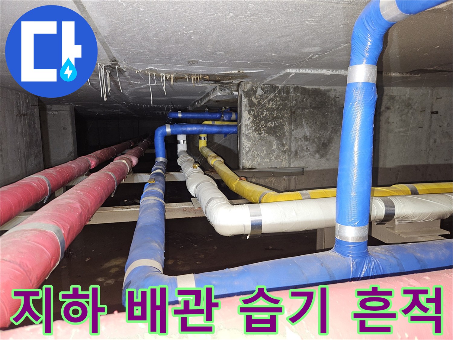 구미동 빌라 지하-물에 젖은 천장 배관들