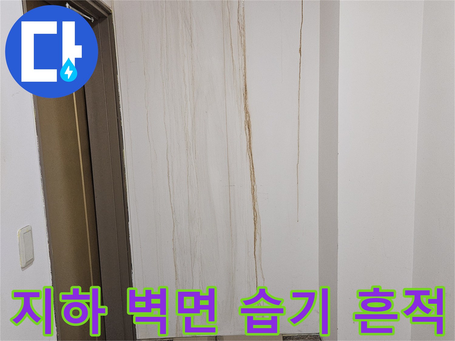 분당 구미동 빌라-지하 1층 엘리베서 옆 벽면 누수 증상 사진