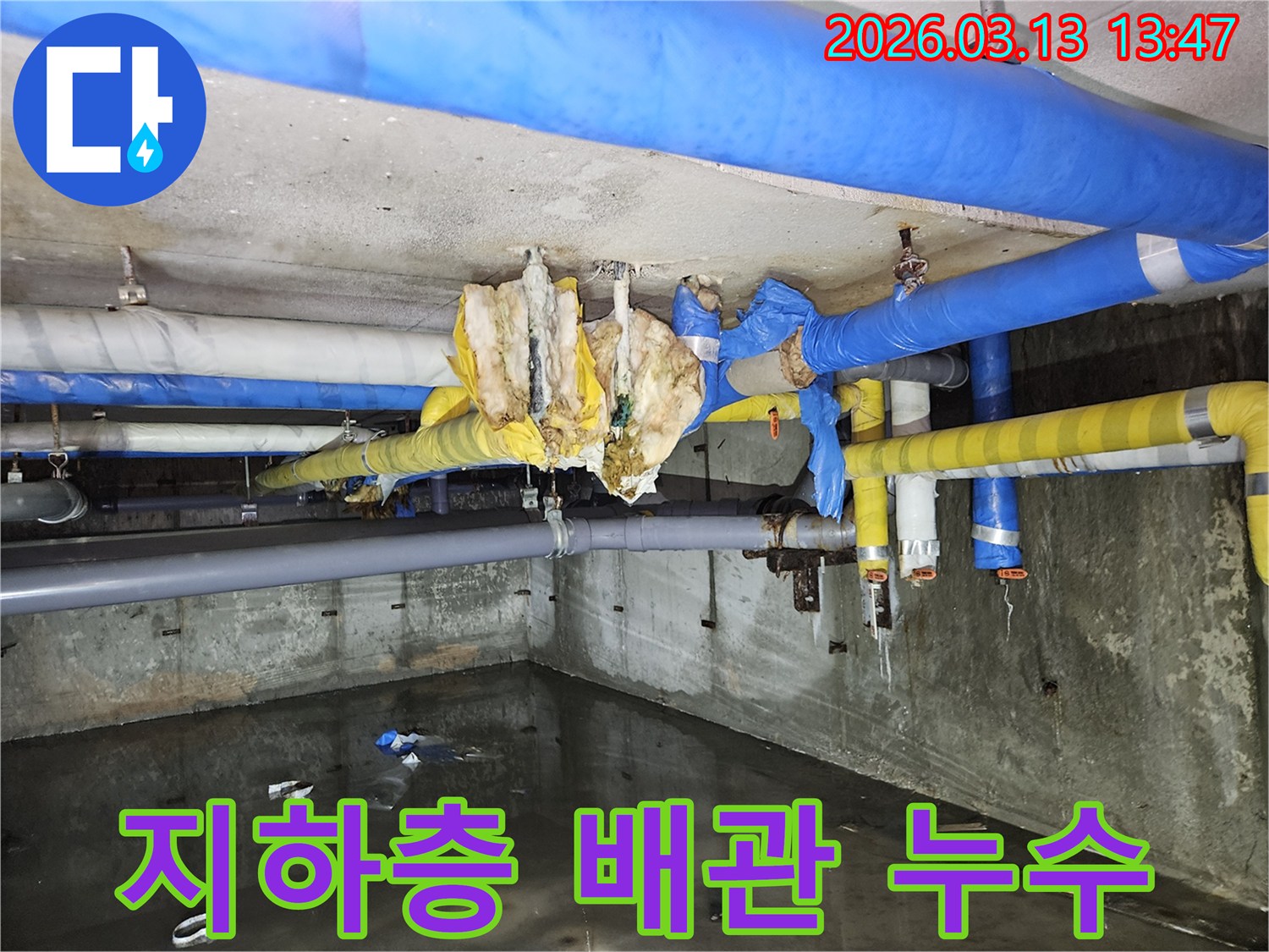 지하-공간에-고인-물과-손상된-배관-보온재가-보이는-누수-현장