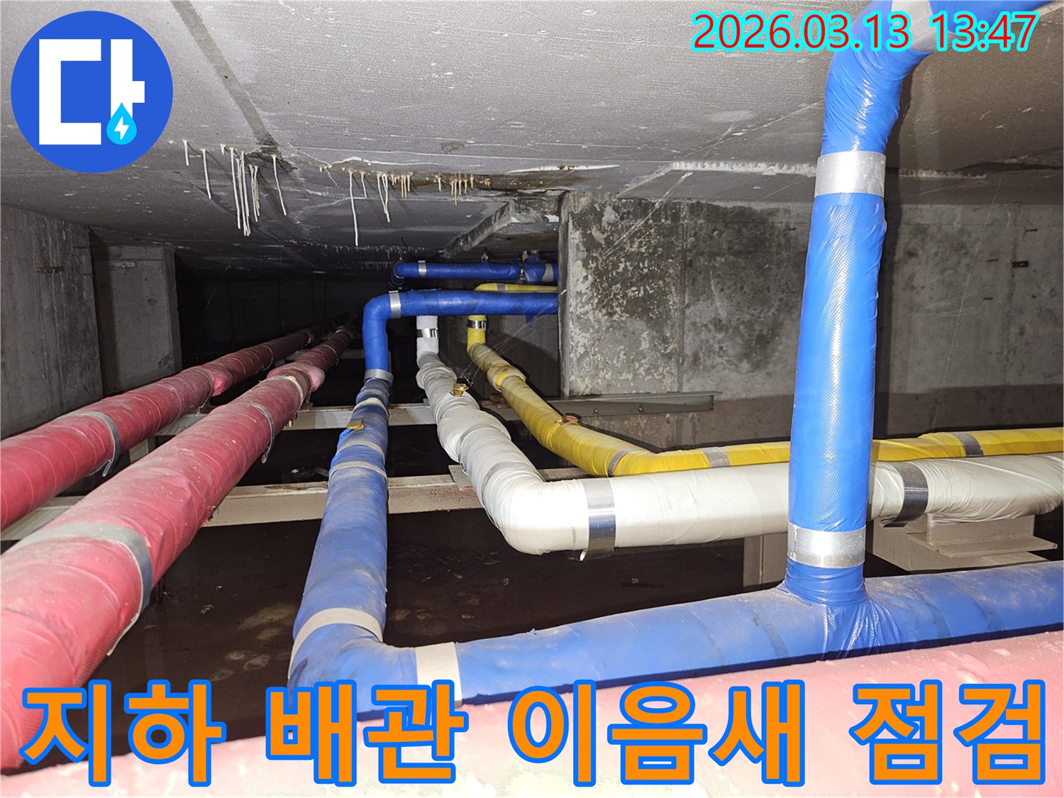 지하-공간의-복잡한-배관들의-이음새-부분에서-누수가-의심되어-정밀하게-점검하는-전문가의-모습