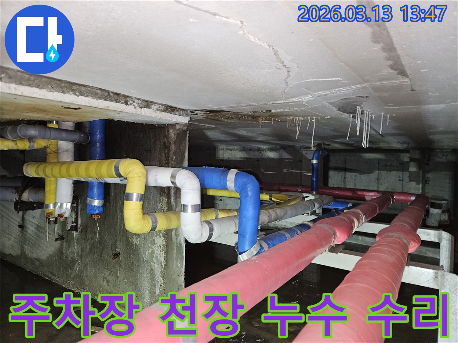 지하 주차장 천장에서-물이 새어 나와-바닥에 고인 물과-천장의 손상 흔적을-보여주는 현장 사진