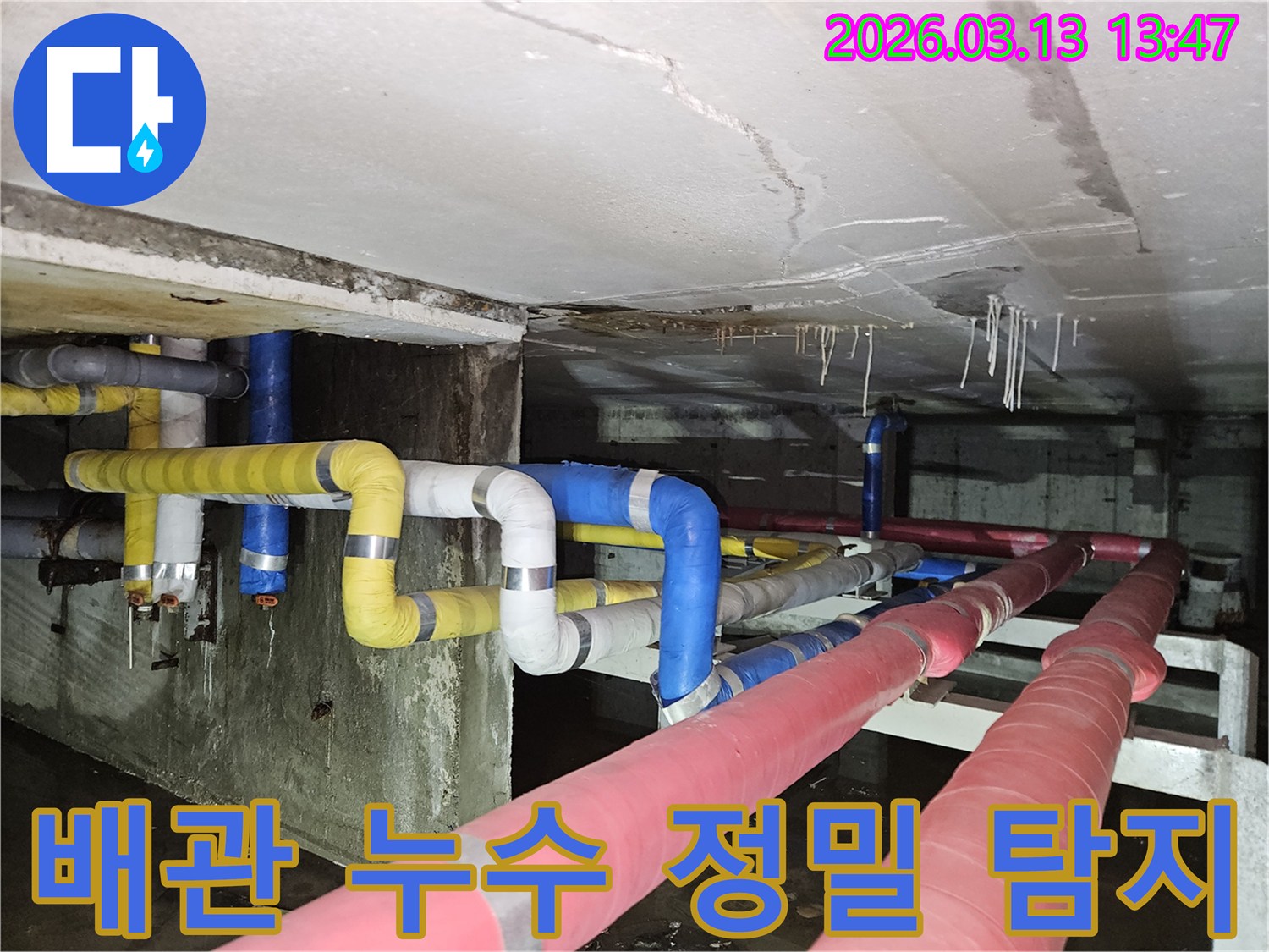 지하 천장 배관에서-물이 새어 나와-바닥에 고인 물과-천장의 손상 흔적을-보여주는 현장 사진