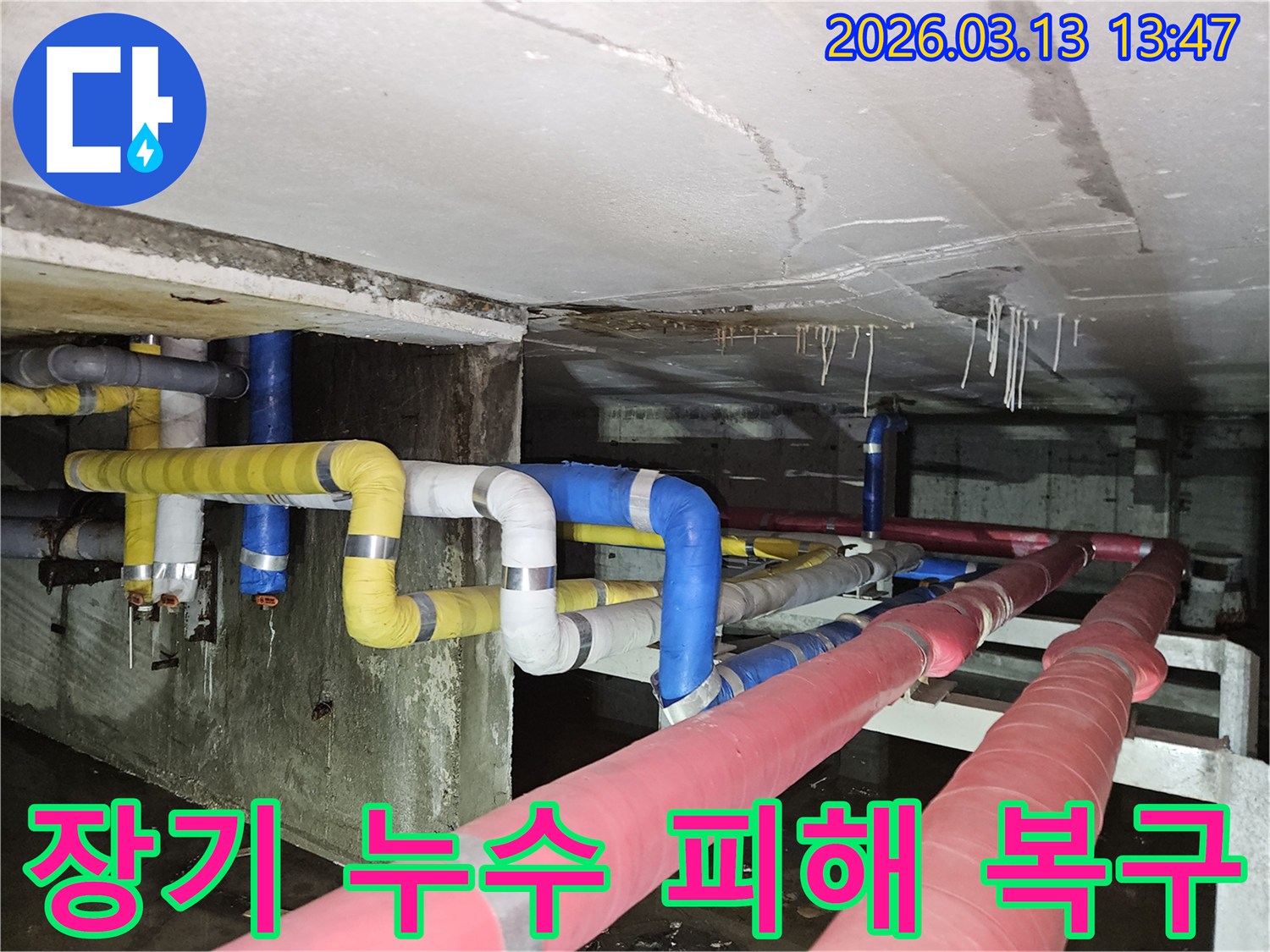 지하 천장에서-오랫동안 진행된-누수로 인해-석회 침전물과-심각한 물 고임이-보이는 현장 사진