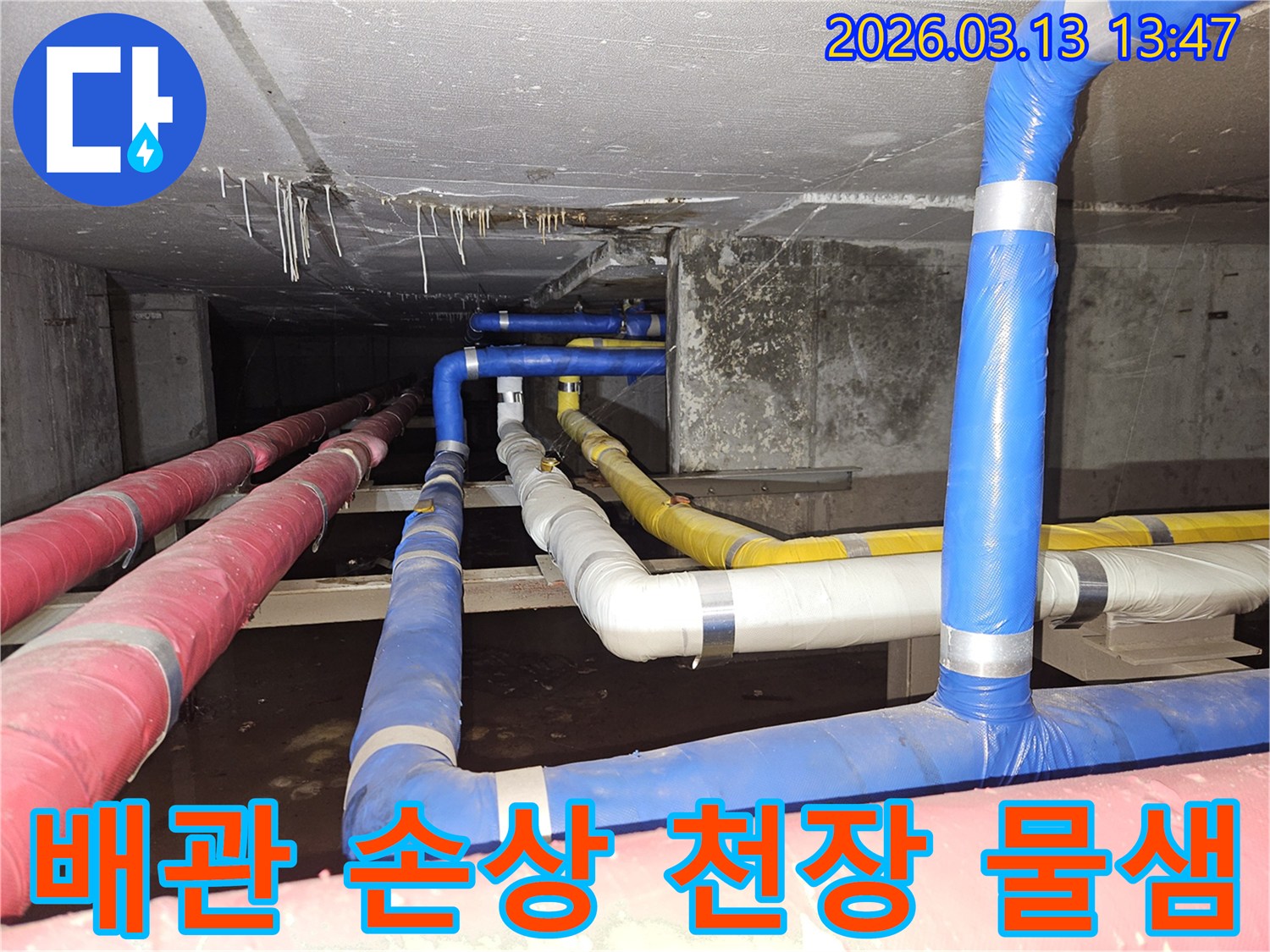 천장-아래-복잡하게-연결된-배관들에서-발생한-손상으로-인한-물샘-현상을-정밀하게-점검하는-모습