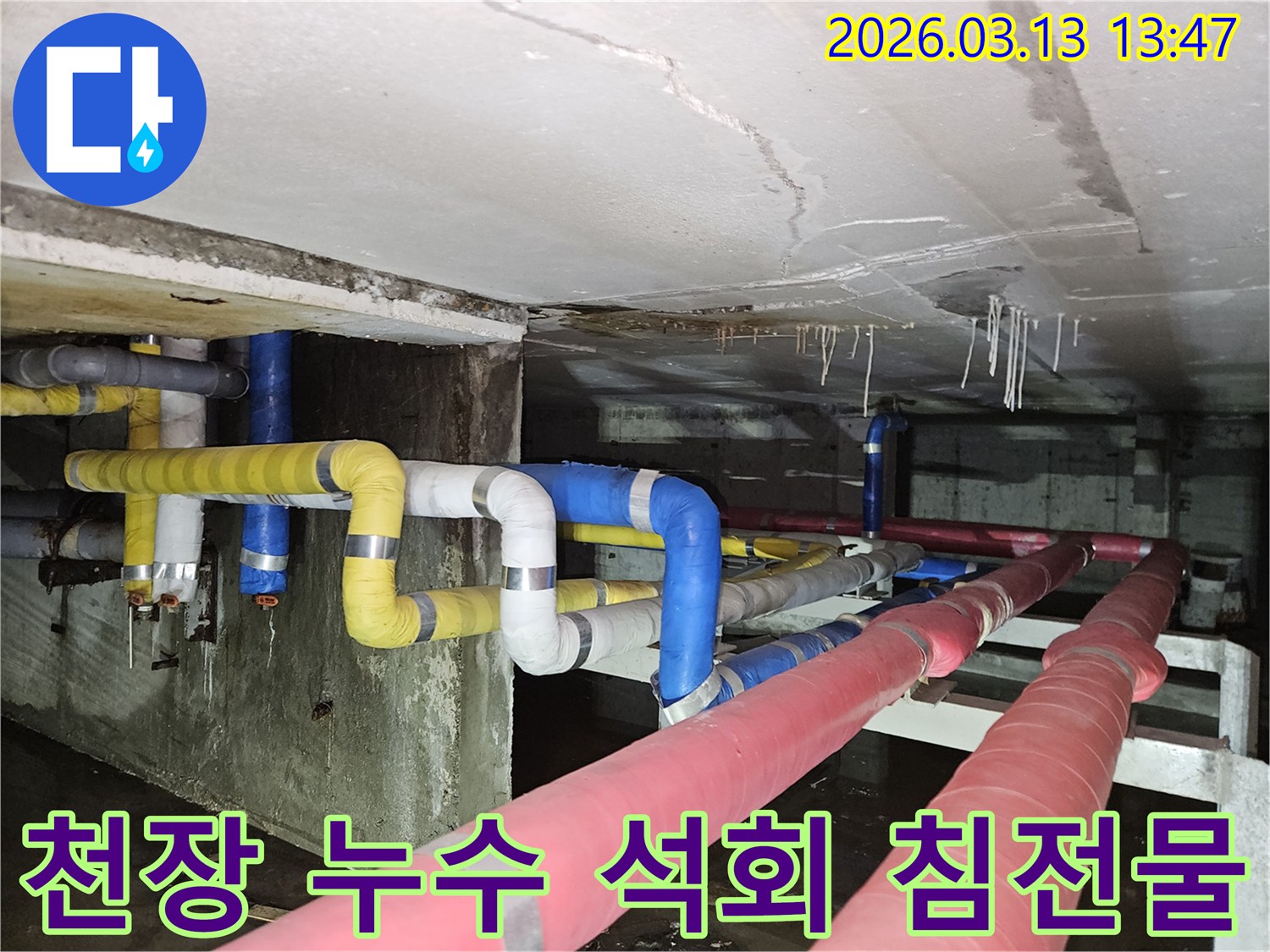 천장 콘크리트에서-누수로 인해-하얀 석회 침전물이-고드름처럼 형성된-모습을 보여주는 사진