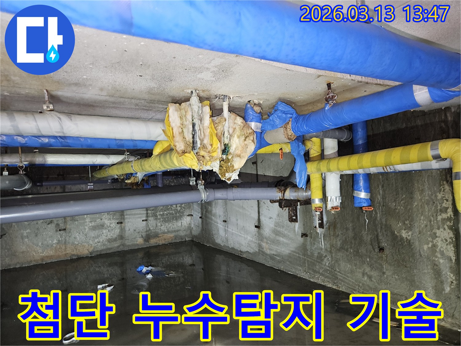 첨단-누수탐지-장비를-사용하여-비파괴-방식으로-누수-지점을-찾는-현장